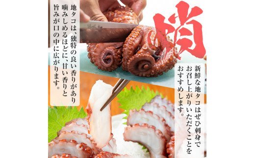 akune-2-58 鹿児島県産地たこのゆでたこ(計500g) 国産 九州産 新鮮 地ダコ 魚介 魚貝 海産物 海鮮 蛸 味付 刺身 磯辺焼き たこ焼き 唐揚げ 料理 おかず お弁当 2-58