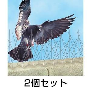 鳥よけグッズ ハト対策 バードスパイク