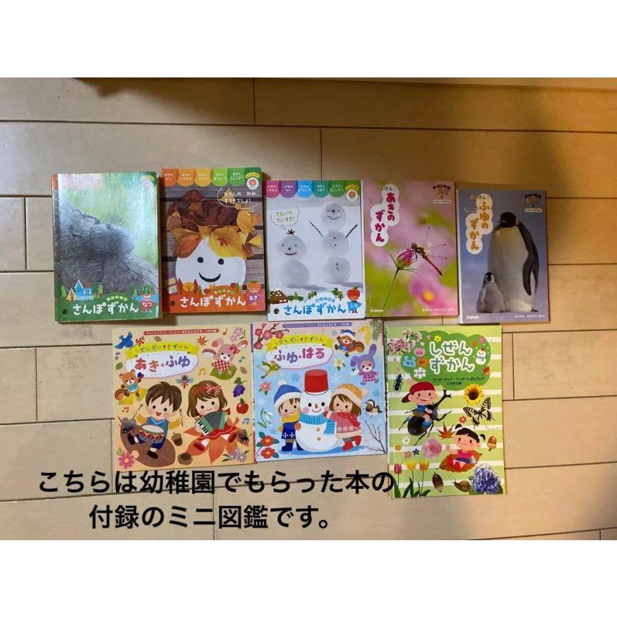 絵本　ミニ図鑑　本　まとめ売り　30冊　幼児グリーン系,ブラック系