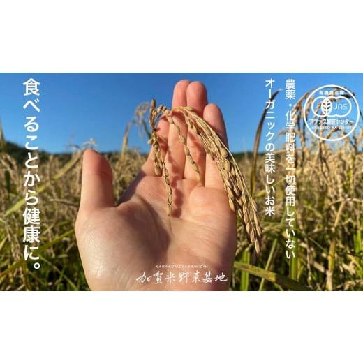 ふるさと納税 石川県 加賀市 農薬・化学肥料不使用「厳選3種食べ比べセット」白米3種各2kg 『有機JAS認証』