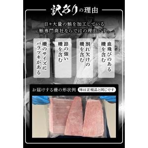 ふるさと納税 a10-858　訳あり 天然 南鮪 赤身 約600g 静岡県焼津市