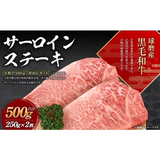 ふるさと納税 熊本県 水上村 球磨産 黒毛和牛 サーロイン ステーキ 500g (250g×2枚)