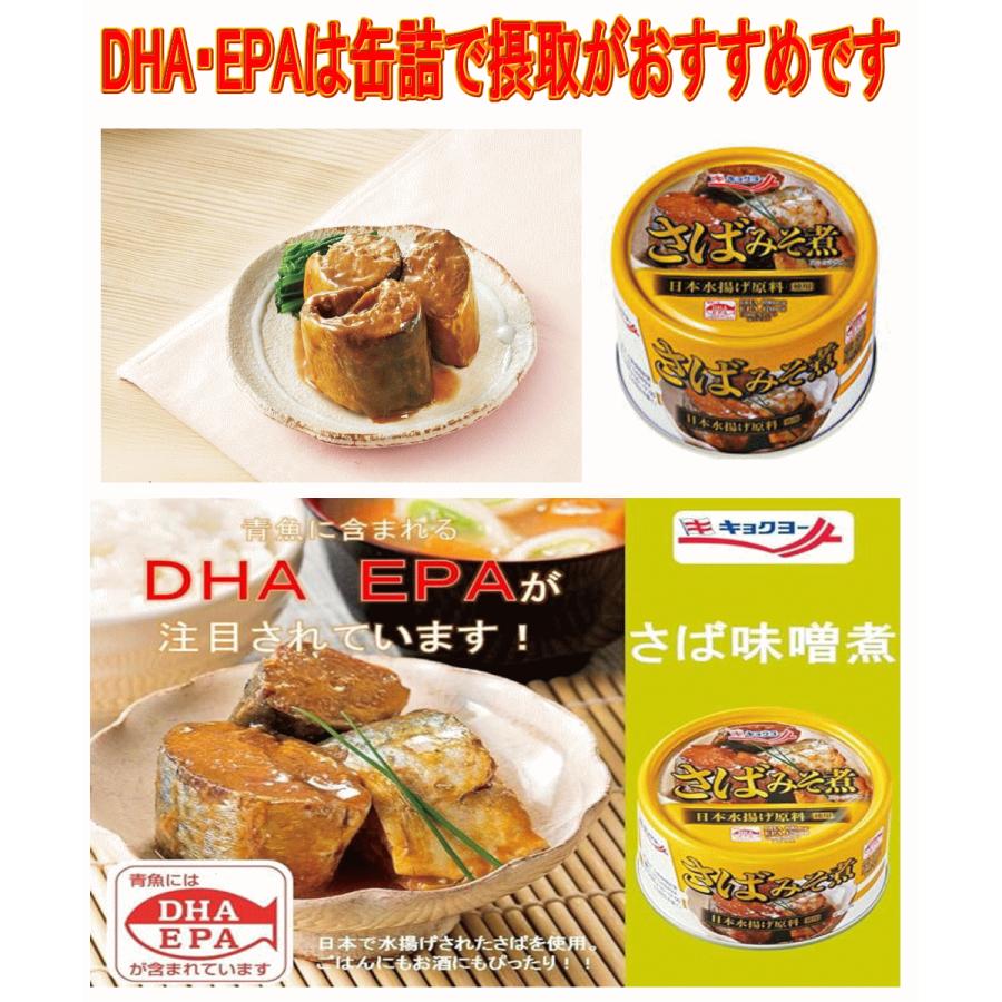 極洋食品 キョクヨー サバ缶詰 さば缶詰 鯖缶詰め 3種10缶セット 味噌煮 味付け 水煮 DHA・EPA摂取に最適 酸関東圏送料無料