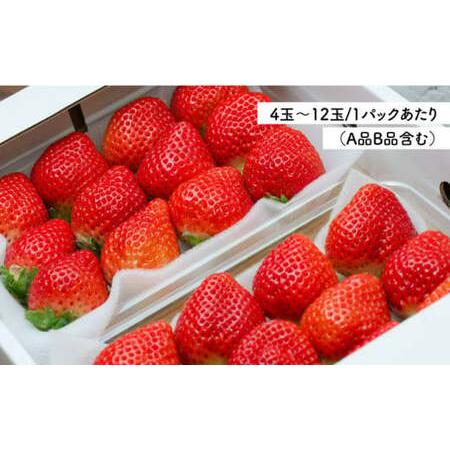 ふるさと納税  糸島 あまおう 270ｇ×2パック(A品B品含む3L?5L)糸島市   磯.. 福岡県糸島市