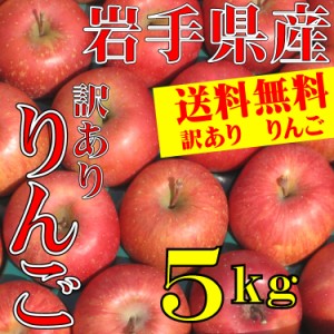 りんご 訳あり 岩手県産 5kg