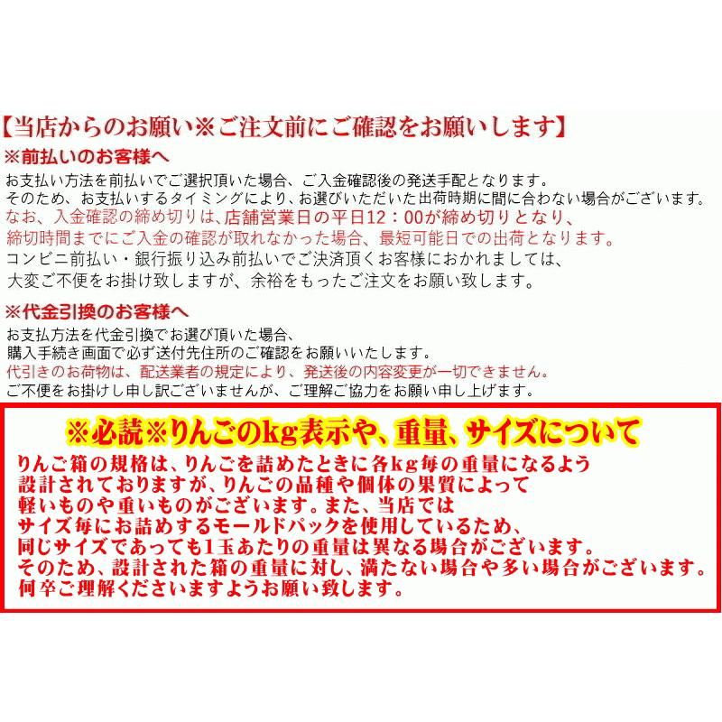 クーポンで200円引き！あすつく 青森 りんご 3kg箱 ぐんま名月 送料無料 家庭用 訳あり 青森 リンゴ 訳あり 3キロ箱★名月 家訳 3kg箱