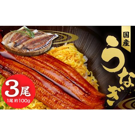 ふるさと納税 国産うなぎ蒲焼　100ｇ×3尾_Cu025 福岡県久留米市