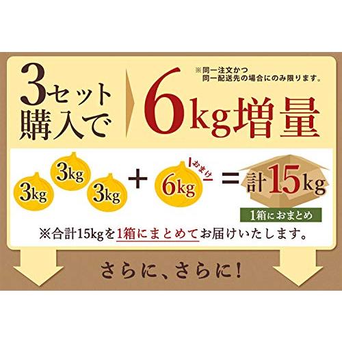 淡路島玉ねぎ 10kg