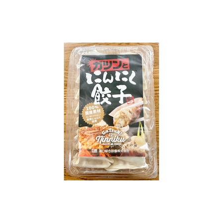 ふるさと納税 発芽にんにく餃子30個入り　餃子　にんにく　にんにくたっぷり　国産にんにく　発芽にんにく　冷凍　臭わない　栄養価抜群　スタミ.. 岐阜県海津市