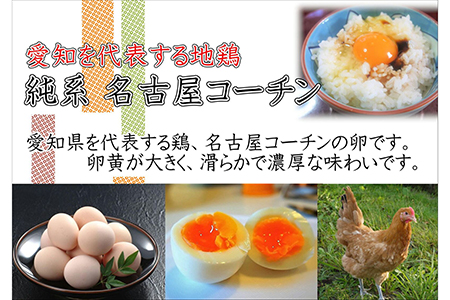 日本三大地鶏!! 「純系 名古屋コーチンの卵」（30個）　本当に美味しい食べ物は調味料の味に負けません！