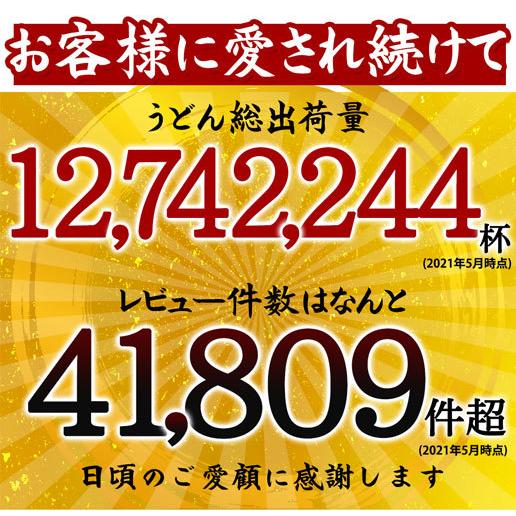 讃岐うどん 送料無料 純生 10人前 本場 打ち立て 生麺 うどん県 ポイント消化 非常食