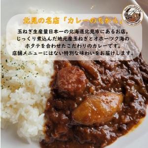 ふるさと納税 おうちごはんを美味しく♪村中さんちのお米＆濃厚ほたてと玉ねぎのカレー カレー 米 ななつぼし セット .. 北海道北見市