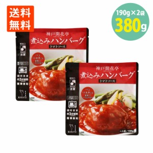 煮込みハンバーグ トマトソース 190g×2袋 開花亭 送料無料 ハンバーグ レトルト トマト ソース ハンバーグ レンジ