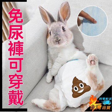 【台灣出貨】兔子專用紙尿褲 兔兔尿不溼 防亂拉神器 寵物紙尿褲 小兔兔屁股包兜 兔子生理褲
