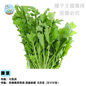 野生薺薺菜種子（大葉薺菜）護生草、地菜、地米菜 焊菜 碎米薺 春野菜種子老品種農家蔬菜種子 四季可種