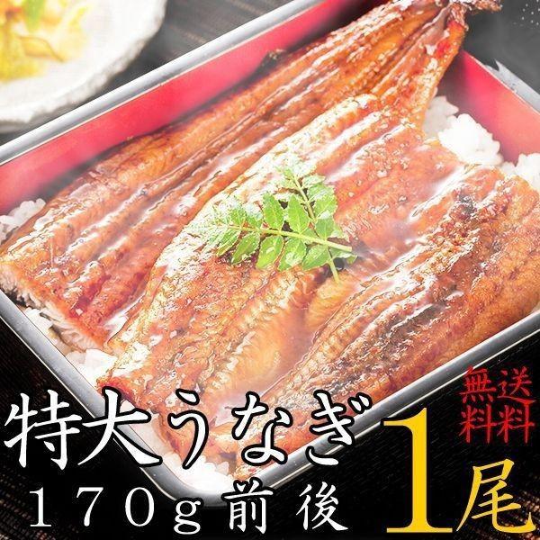 お歳暮 ギフト 食べ物 土用の丑　国産うなぎ蒲焼170g前後×2尾 送料無料