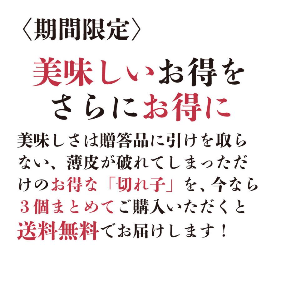 辛子明太子 博多あごおとし切れ子2個 たらこ1個セット まるきた水産 博多まるきた水産 あごおとし 明太子 めんたいこ 帰省土産 送料無料