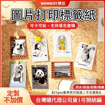 💖台灣現貨 精臣標籤紙 照片打印紙 B21-pro 專用 防水不乾膠卡貼 圖檔打印紙 復古手賬素材 標籤貼紙 標籤紙