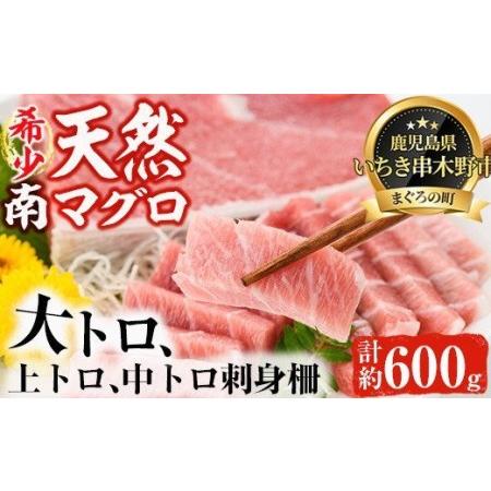 ふるさと納税 南まぐろの大トロ・中トロセット 南まぐろ刺身用大トロ、上トロ、中トロ各1本（約600g） 希少な天然南まぐろをご家庭で.. 鹿児島県いちき串木野市