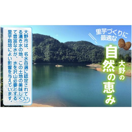 ふるさと納税 福井県 大野市 越前大野の名水里芋 3kg ねっとりうまい煮崩れしない！