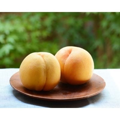 もも 黄金桃 約3kg No.1705