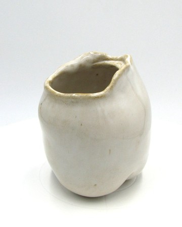 VAGINA CUP