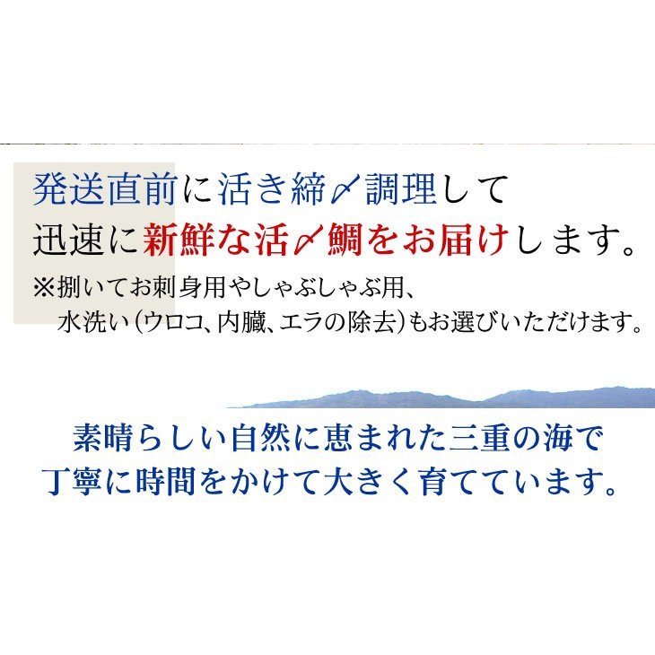 真鯛　捌いてお届けします　1.2ｋｇ　スキンレス、アラ下処理済（三重県産　養殖）[魚介類]