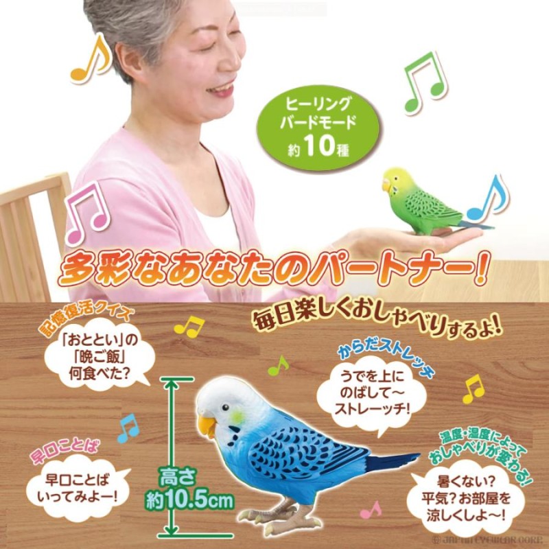 Amazon.co.jp: タカラトミー TAKARATOMY 毎日おしゃべり 天才インコ