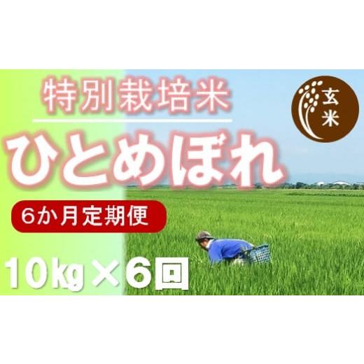 ふるさと納税 山形県 三川町 ecofarmすがわら特別栽培米ひとめぼれ10kg×6回