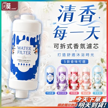 【可拆濾芯更換方便】香氛濾芯 蓮蓬頭香氛濾芯 蓮蓬頭濾芯 沐浴過濾器 現貨 蓮蓬頭過濾器 沐浴濾芯 花灑過濾器