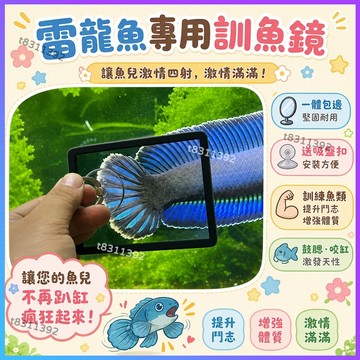 ✨台灣出貨✨雷龍魚專用訓魚鏡 透視單麵鏡子 雙麵透明鏡子 訓魚鏡 泰國鬥魚訓練鏡 訓魚鏡子包邊防摔雙面鼓腮咬缸 防刮高清