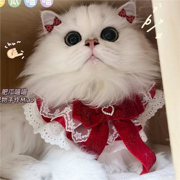 寵物貓咪蝴蝶結圍脖原創設計紅色蕾絲情人節圍兜幼貓狗狗口水巾新