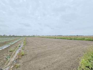 台南佳里蚶寮段1.9分方正美農地｜台南市佳里區蚶寮