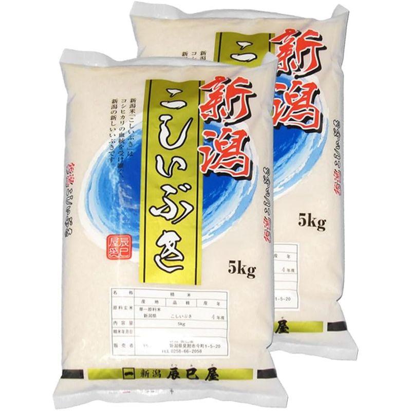 精米令和4年産 新潟県産こしいぶき 白米 10kg（5kg×2袋）新潟辰巳屋