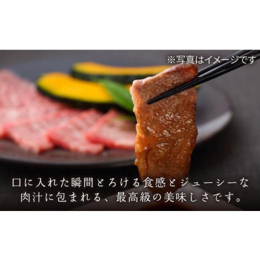 ふるさと納税 長崎県 平戸市 長崎和牛 ロース カルビ 焼肉用 食べ比べ（300g×2） 平戸市 ／ 萩原食肉…