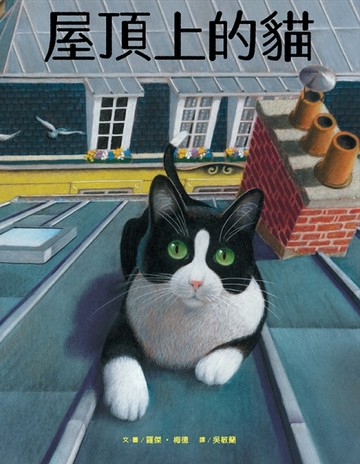 屋頂上的貓[二手書_良好]