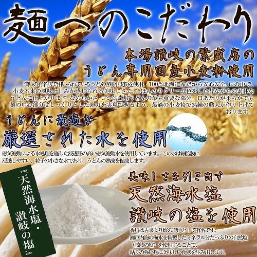 ゆうパケット出荷　鎌田醤油特製ダシ醤油6袋付き!!讃岐うどん6食分600g（300g×2袋）送料無料