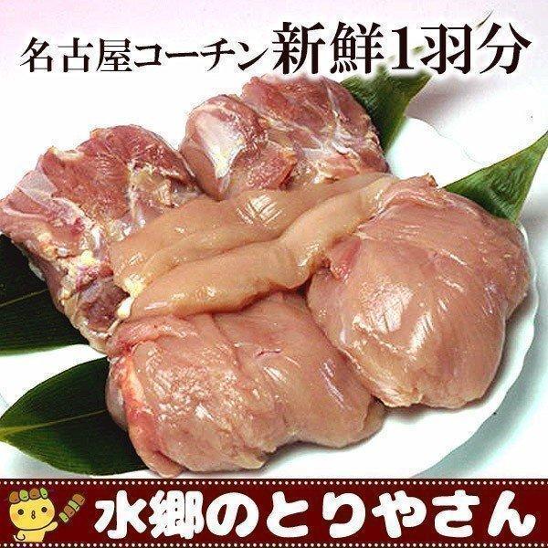 名古屋コーチン 新鮮 もも肉２枚 胸肉２枚 ささみ２本 ギフト