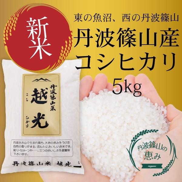 米 お米 新米 丹波篠山コシヒカリ(5kg) 令和2年度産 新米特Aランク 5kg