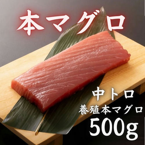 本マグロ 中トロ 500g