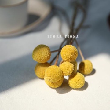 北歐軟裝家居裝飾客廳擺設真花永生花干果天然風干植物干花黃金球