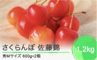 先行予約 さくらんぼ 佐藤錦 秀Mサイズ バラ詰め 1.2kg(600g×2箱) 2024年産 令和6年産 山形県産 ns-snsmb1200