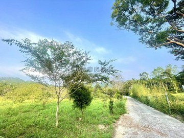 新埔788坪有水電農牧用地｜新竹縣新埔鎮照鏡