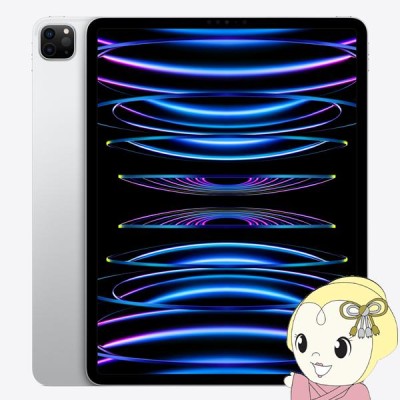 iPadPro 12.9 第6世代 Wi-Fi全付属品有+ApplePencil iPad Pro 12.9インチ 第6世代 Wi-Fi Apple Pencil