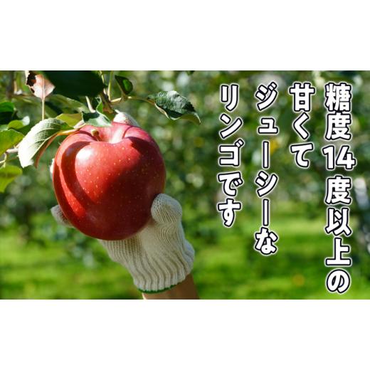 ふるさと納税 青森県 弘前市 11〜12月発送 最高等級「特選大玉」3種詰め合わせ 約5kg（サンふじ・金星・王林）糖度14度以上