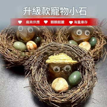 廢物專賣店 升級款寵物小石 養死包賠 網紅養石頭 安靜可愛不需餵養 宿舍療癒擺飾 生日禮物 交換禮物 交換廢物 上課無聊