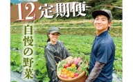 新鮮野菜BOX定期便(12カ月便）8～12種