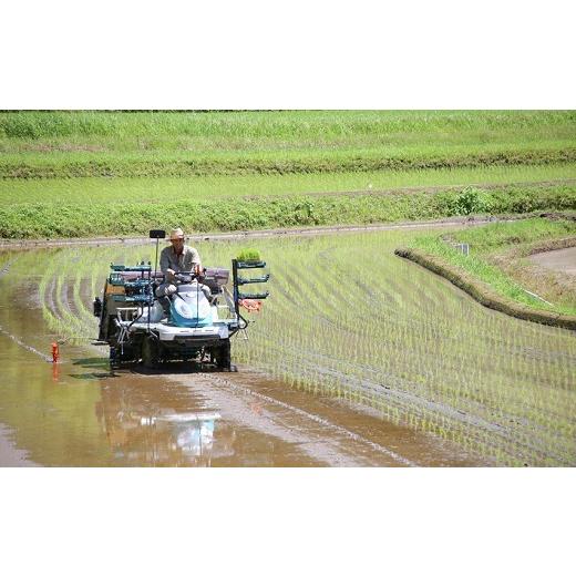 ふるさと納税 熊本県 南関町 K01-2特別栽培米 玄米 24kg