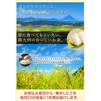 ふるさと納税 南九州市 鹿児島県産米ひのひかり10kg定期便