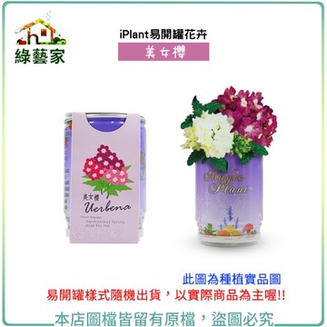 【綠藝家】iPlant易開罐花卉-美女櫻2入/組(2入優惠價-單罐85元)